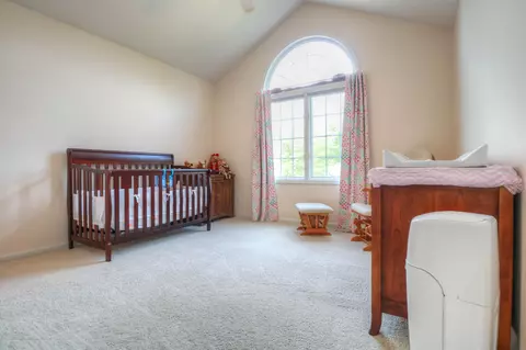 407 W Dill Dr, Dewitt, MI 48820 photo 18
