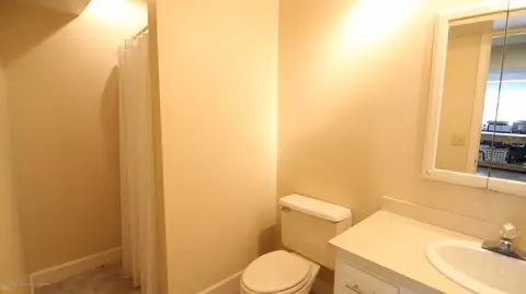 3243 Old Hickory Trl, Dewitt, MI 48820 photo 22