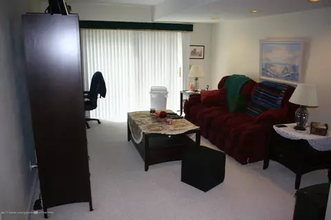 1027 Wild Ginger Trl, Haslett, MI 48840 photo 21