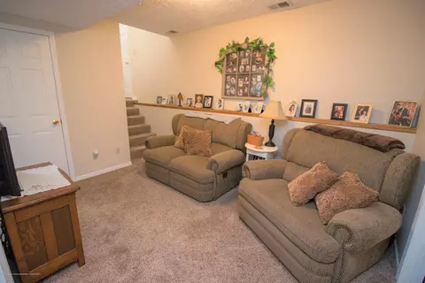 319 E Potter Ave, Lansing, MI 48910 photo 20