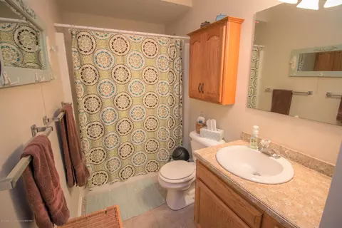 319 E Potter Ave, Lansing, MI 48910 photo 15