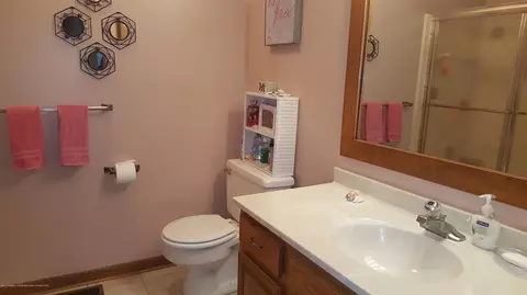 13167 Farm Ln, Dewitt, MI 48820 photo 19