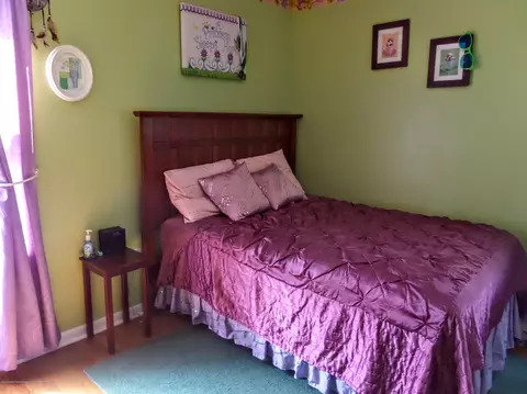 301 E Northrup St, Lansing, MI 48911 photo 24