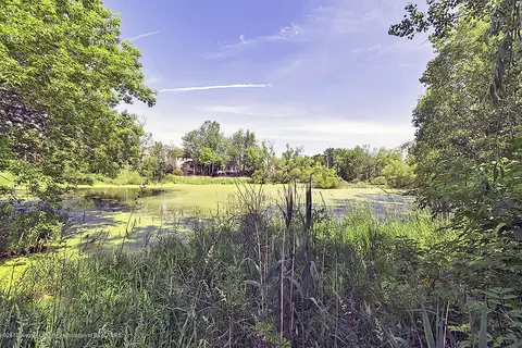 7933 Ashbrook Dr, Haslett, MI 48840 photo 27