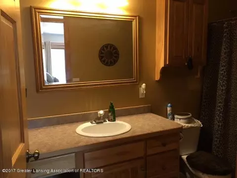 317 W Rolfe St, Perry, MI 48872 photo 14