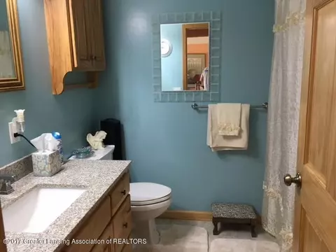 317 W Rolfe St, Perry, MI 48872 photo 19