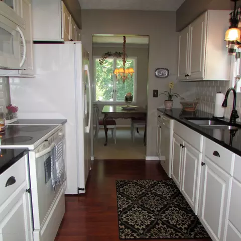 201 Ruby Way, Williamston, MI 48895 photo 16