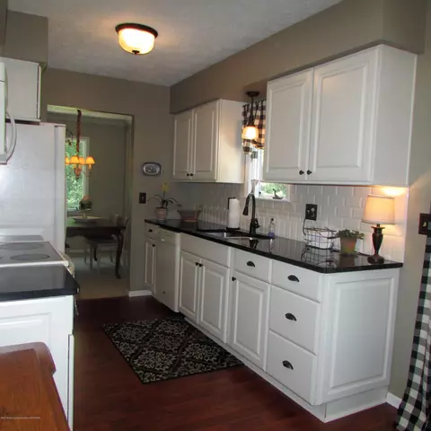 201 Ruby Way, Williamston, MI 48895 photo 14