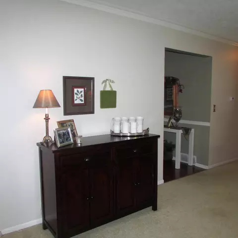 201 Ruby Way, Williamston, MI 48895 photo 25