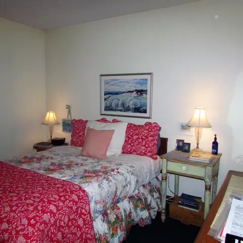 201 Ruby Way, Williamston, MI 48895 photo 30