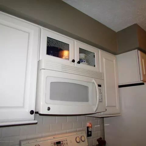 201 Ruby Way, Williamston, MI 48895 photo 20