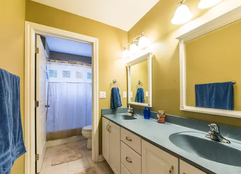 3262 Canopy Dr, Dewitt, MI 48820 photo 20