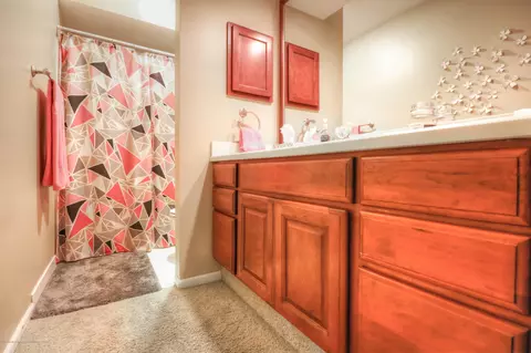 3260 Old Hickory Trl, Dewitt, MI 48820 photo 13