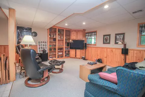 3951 Blue Spruce Dr, Dewitt, MI 48820 photo 23