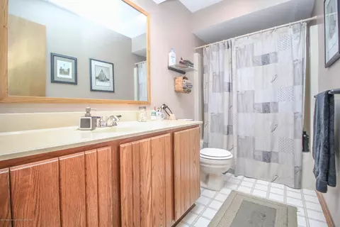 3951 Blue Spruce Dr, Dewitt, MI 48820 photo 22