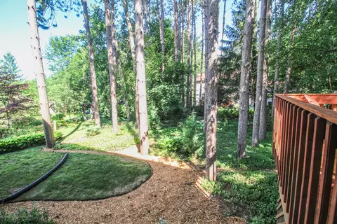 3951 Blue Spruce Dr, Dewitt, MI 48820 photo 30