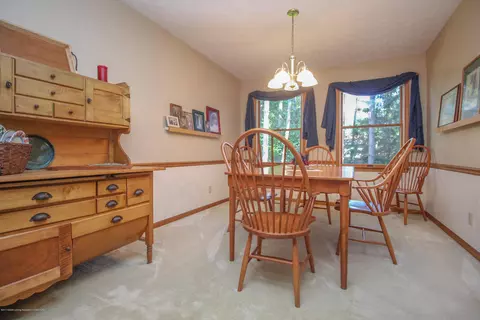 3951 Blue Spruce Dr, Dewitt, MI 48820 photo 10