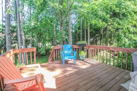 3951 Blue Spruce Dr, Dewitt, MI 48820 photo 28