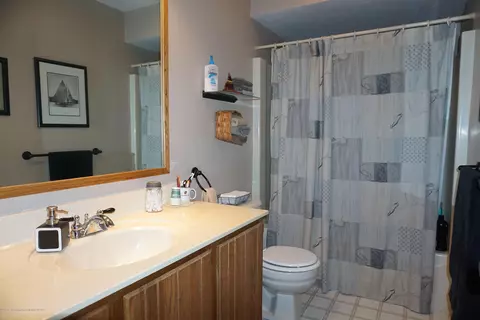 3951 Blue Spruce Dr, Dewitt, MI 48820 photo 21