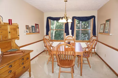 3951 Blue Spruce Dr, Dewitt, MI 48820 photo 9