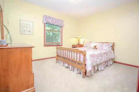 3951 Blue Spruce Dr, Dewitt, MI 48820 photo 19