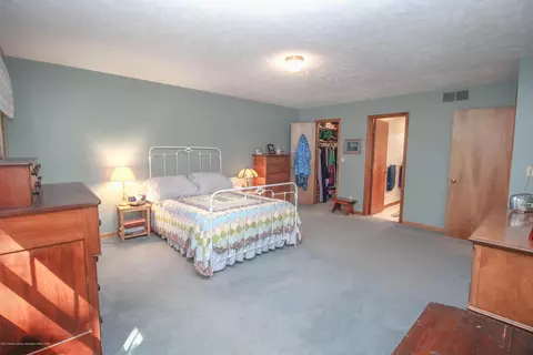 3951 Blue Spruce Dr, Dewitt, MI 48820 photo 17