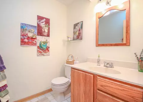 3951 Blue Spruce Dr, Dewitt, MI 48820 photo 15