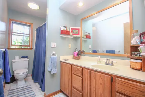3951 Blue Spruce Dr, Dewitt, MI 48820 photo 18