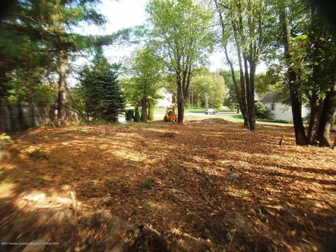 514 Looking Glass Gln, Dewitt, MI 48820 photo 11