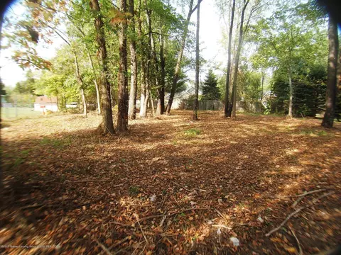 514 Looking Glass Gln, Dewitt, MI 48820 photo 10