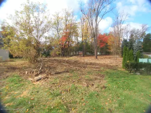 514 Looking Glass Gln, Dewitt, MI 48820 photo 9