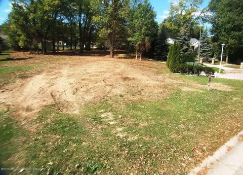 514 Looking Glass Gln, Dewitt, MI 48820 photo 4