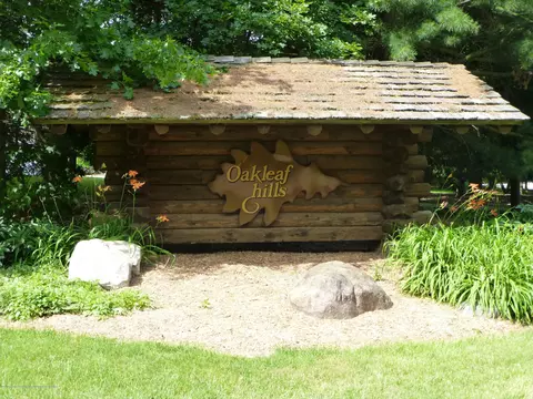 4360 Redbud Trl, Williamston, MI 48895 photo 38