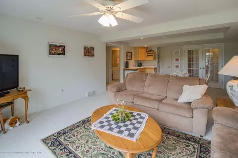 3331 Hidden Ridge Dr, Dewitt, MI 48820 photo 50