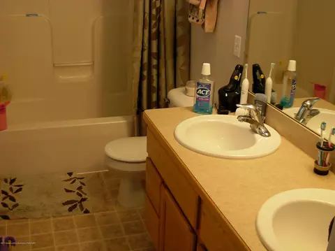 4530 Bison Dr, Holt, MI 48842 photo 9