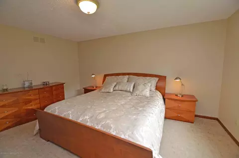 412 Windrock, Dimondale, MI 48821 photo 11