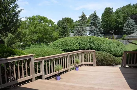 412 Windrock, Dimondale, MI 48821 photo 43