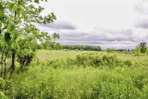 7454 S Loomis Rd, Dewitt, MI 48820 photo 22