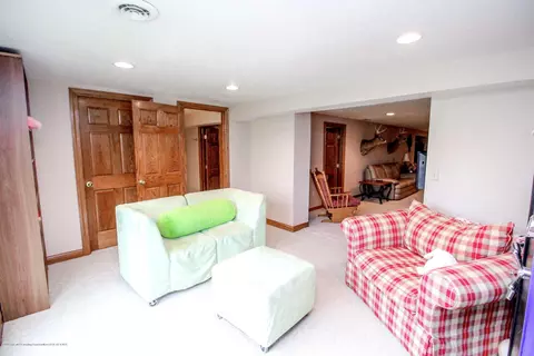 7454 S Loomis Rd, Dewitt, MI 48820 photo 14