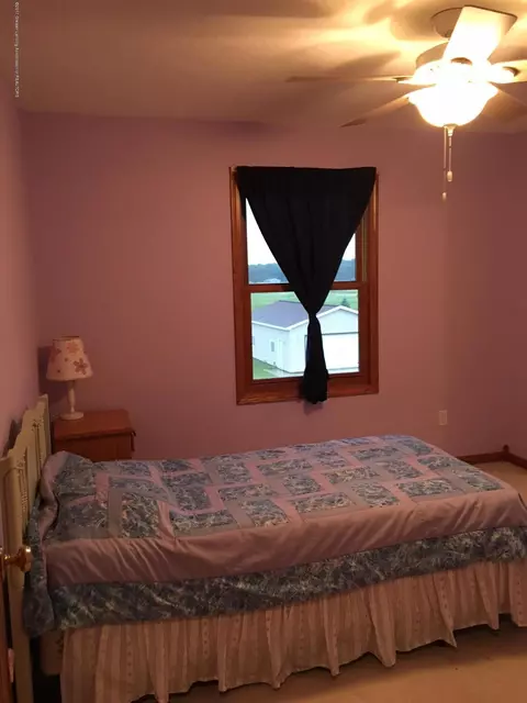 5300 W Howe, Dewitt, MI 48820 photo 9