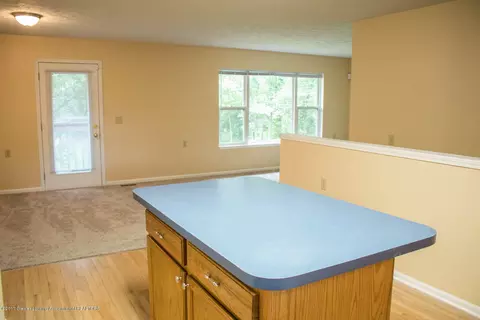 3321 Cooley Dr, Lansing, MI 48911 photo 19