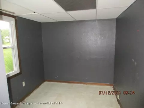 601 Birchwood St, Dewitt, MI 48820 photo 7