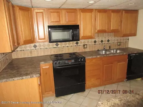601 Birchwood St, Dewitt, MI 48820 photo 6