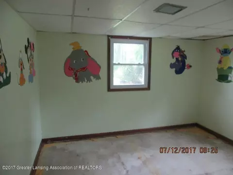 601 Birchwood St, Dewitt, MI 48820 photo 10
