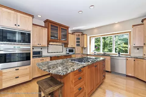 3686 Beech Tree Ln, Okemos, MI 48864 photo 13