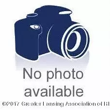 310 Windyrush Ln, Dewitt, MI 48820 photo 2