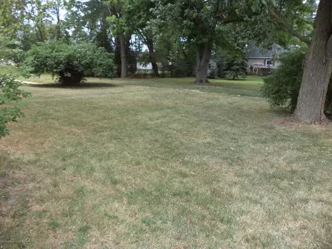 239 N Main St, Fowler, MI 48835 photo 30