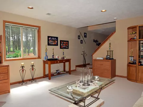12603 Red Pine Ln, Perry, MI 48872 photo 24