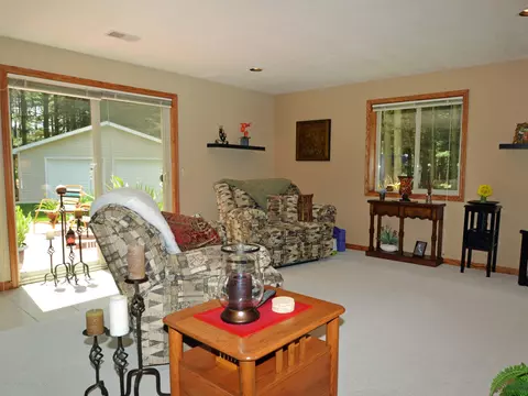 12603 Red Pine Ln, Perry, MI 48872 photo 26