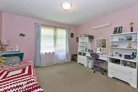 6667 W Pratt Rd, Dewitt, MI 48820 photo 14